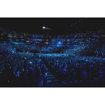22-07-2013 - sony tracy - joe_cocker - 1.jpg